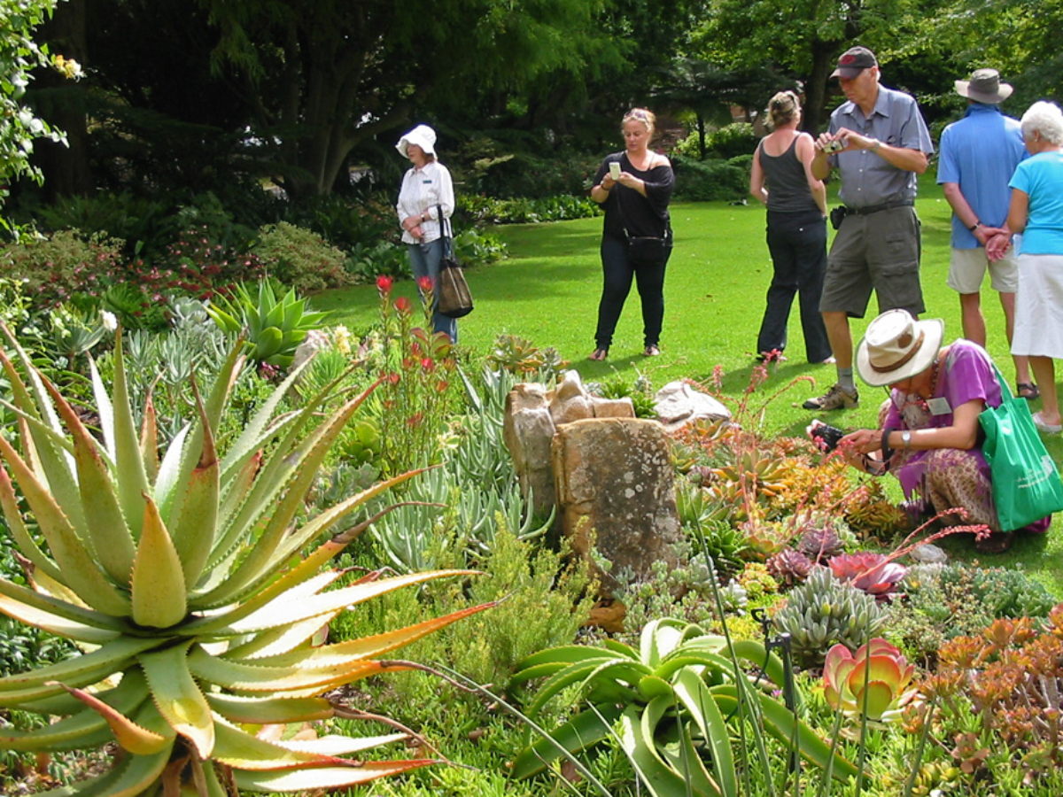 CHS visit to apartment block garden In Newlands
