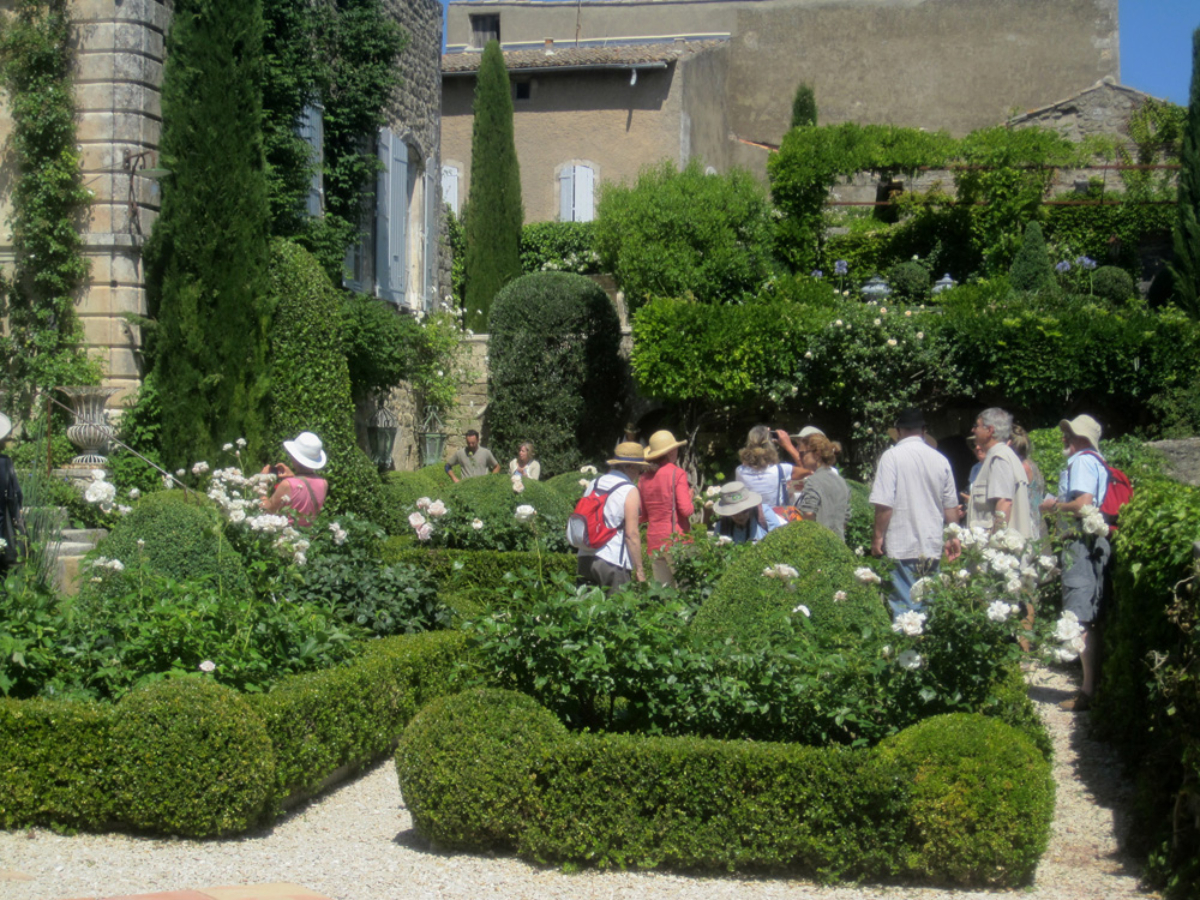 Visiting a Luberon Garden